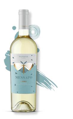 Baltas rūšinis vynas MESSAPO FIANO SALENTO BIANCO IGP