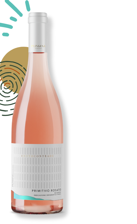 Rožinis rūšinis vynas PRIMITIVO ROSATO SALENTO IGT