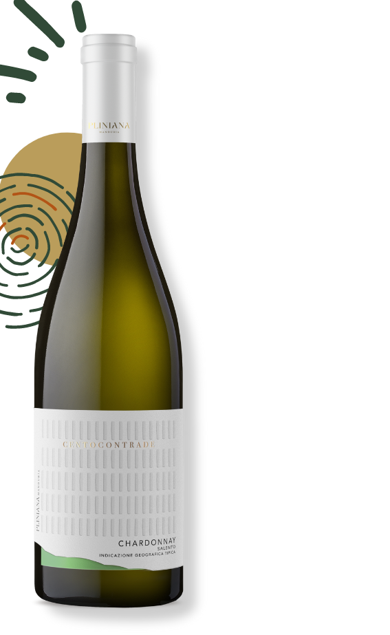 Baltas rūšinis vynas CHARDONNAY SALENTO IGT