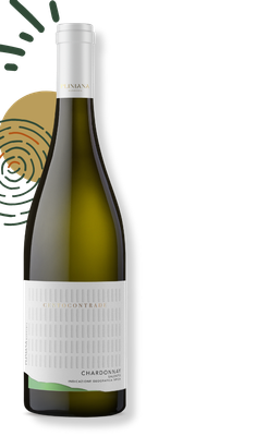 Baltas rūšinis vynas CHARDONNAY SALENTO IGT