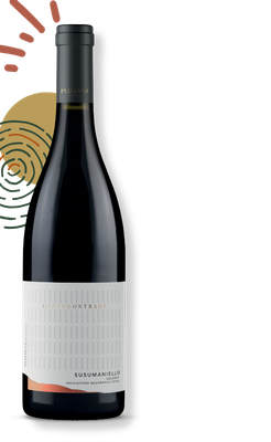 Raudonas rūšinis vynas CENTROCONTRADE SUSUMANIELLO SALENTO IGT