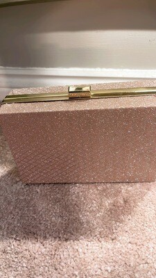 Shimmery clutch