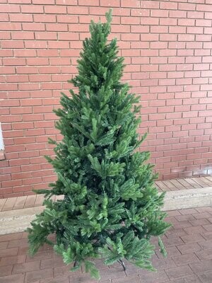 Christmas Trees