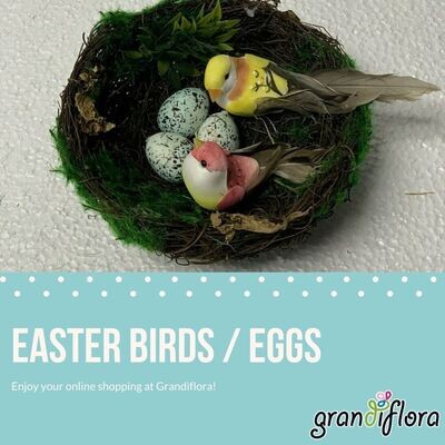 Easter Birds / Eggs