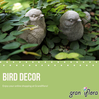 Bird Decor
