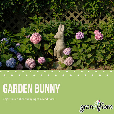 Garden Bunny