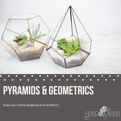 Pyramids & Geometrics