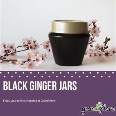 Black Ginger Jars