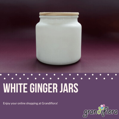 White Ginger Jars