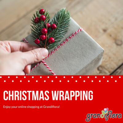 Christmas Wrapping