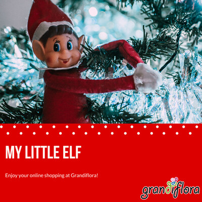 My Little Elf