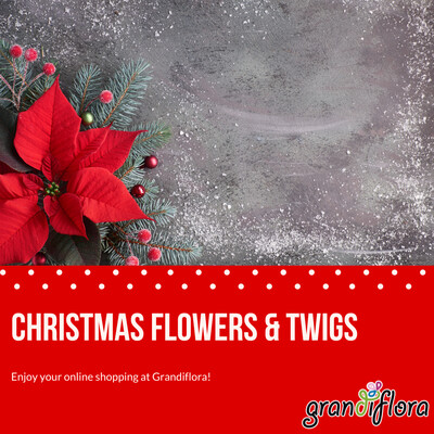 Christmas flowers & Twigs