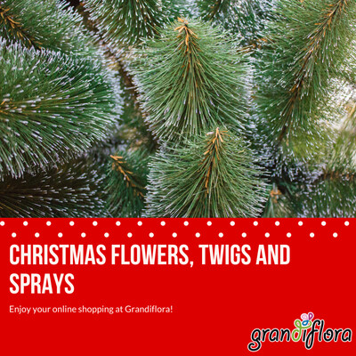 Christmas Flowers, Twigs and Sprays