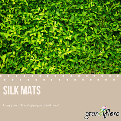 Silk and Grass Mats