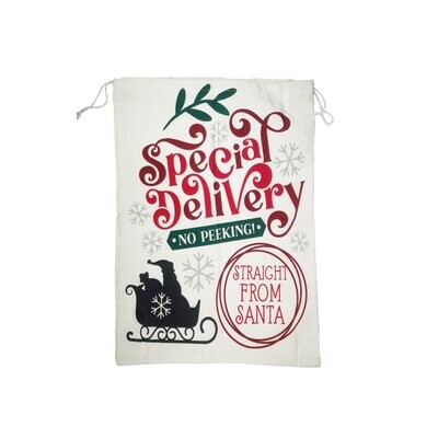 Special Delivery Bag 50x70cm