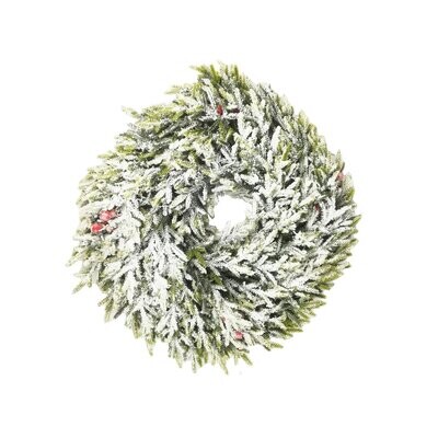 Frosted Wreath 40cm