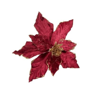 Red And Gold Poinsettia 24cm