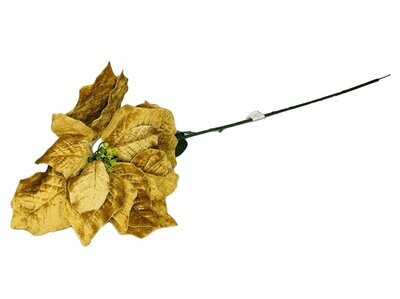 Poinsettia 76cm Gold