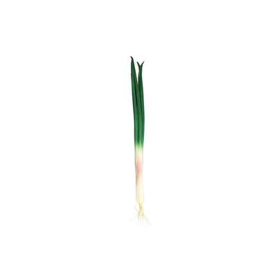 Artificial Spring Onion 41cm