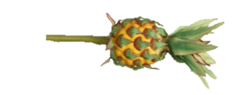 Artificial Pineapple On Stem - 15x15x50cm - Orange Green