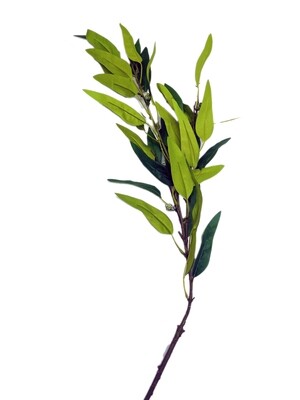 Artificial Olive Leaf Branch on 1.18m Stem