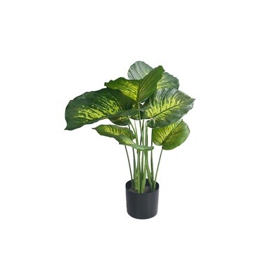 Artificial Diffrnbachia Pot Plant 50cm