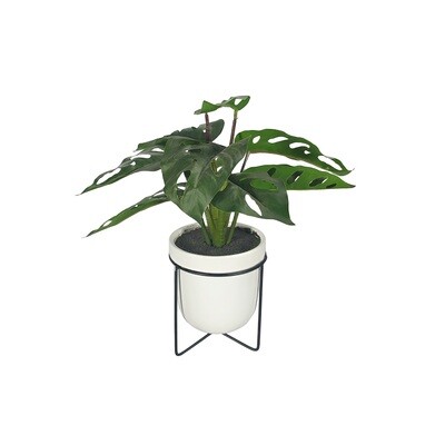 Artificial Monstera In White Pot With Black Stand
