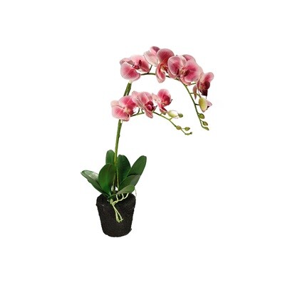 Artificial Orchid In Pot Pink - 10x16x62cm
