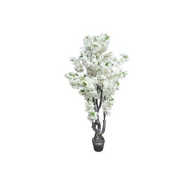 Artificial Cherry Blossom 1.7m White