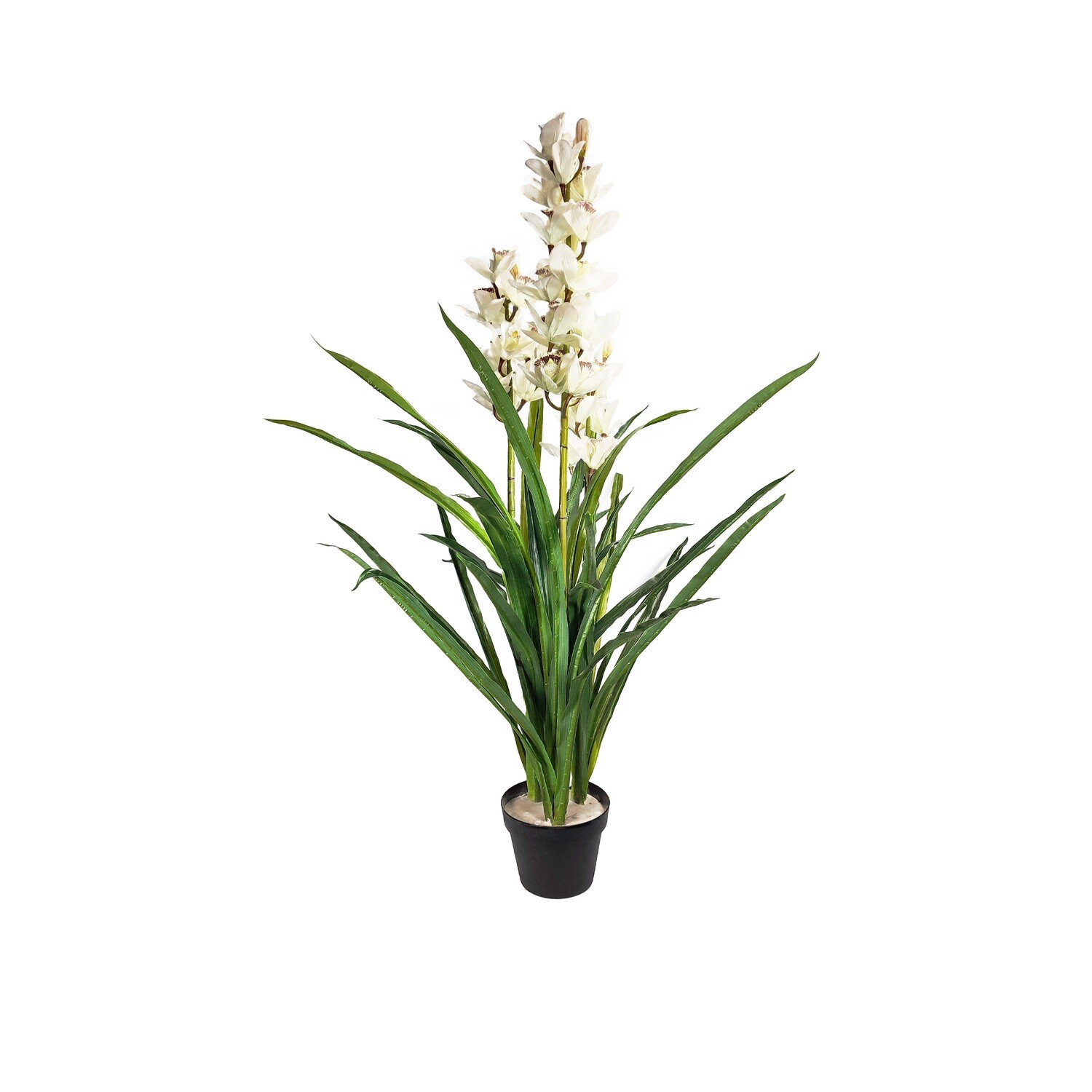 Orchid Pot Plant 110Cm White decorations