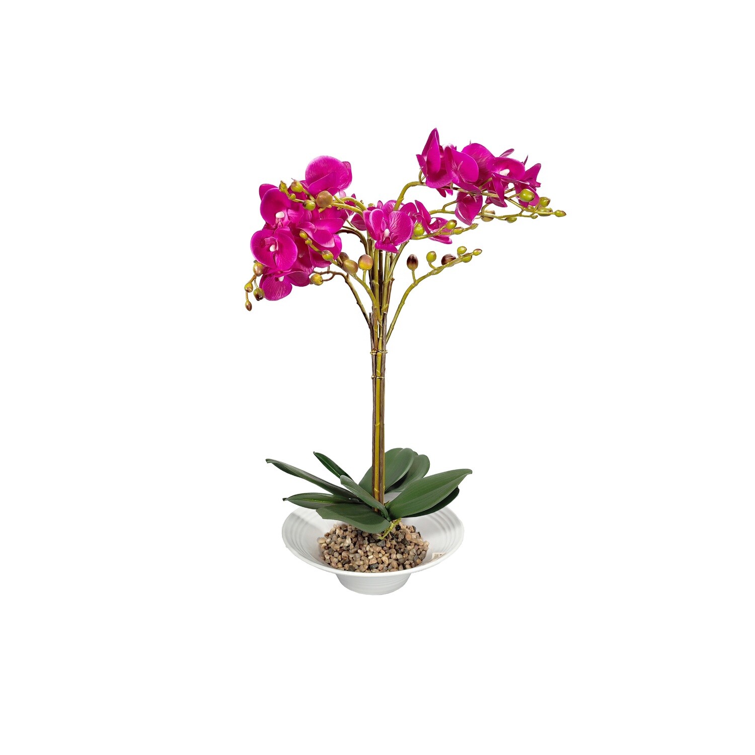 Vase decorations for your pleasure | Shop at Grandiflora today