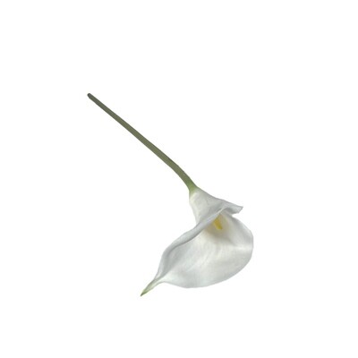 Artificial Arum Lily - White