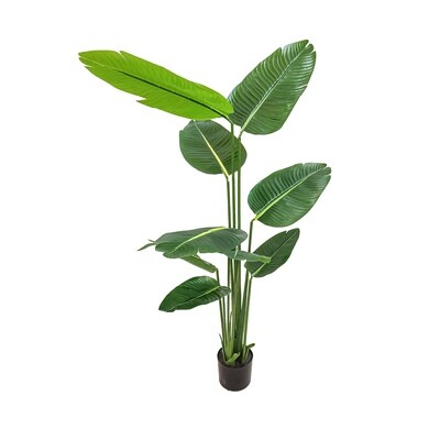Artificial Banana Leaf tree in pot 1.6m 9 Leaves