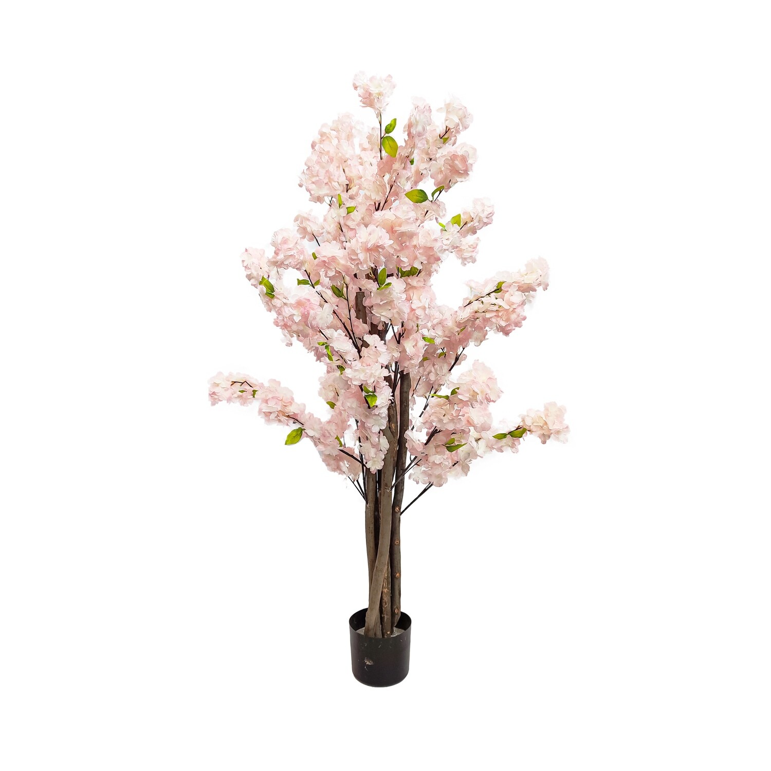 Vase decorations for your pleasure | Shop at Grandiflora today