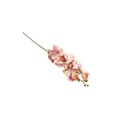 Artificial Orchid - Peach Pink