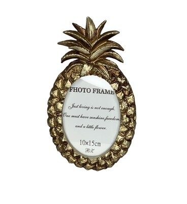 Pineapple Frame 25.5x15cm