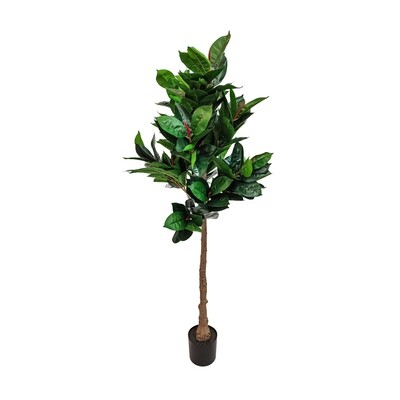 Artificial Rubber tree in pot 1.7m 10 Leaves