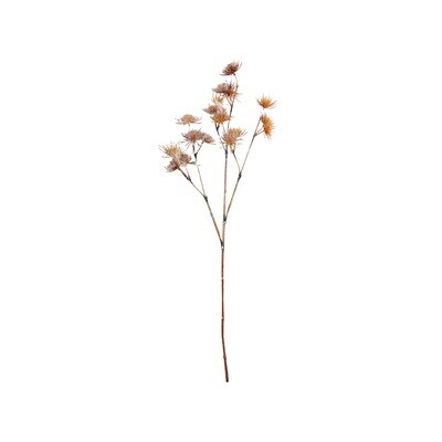 Allium On Stem Natural 18x3x80cm