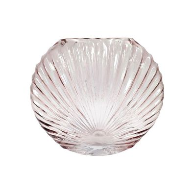 Sea Shell Glass Vase - Transparent Champagne