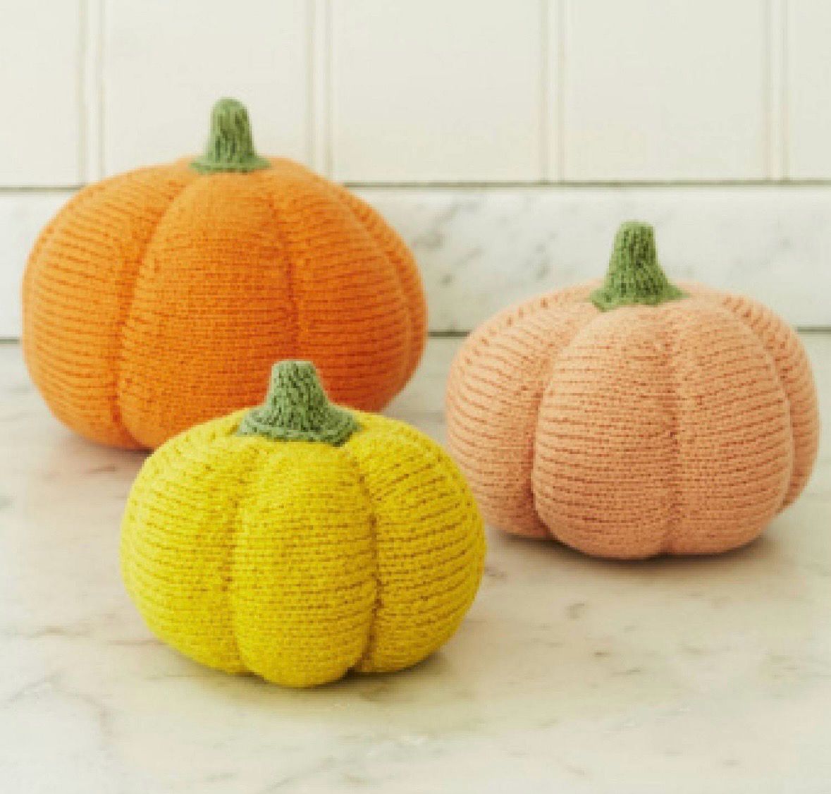 Pumpkin Kit