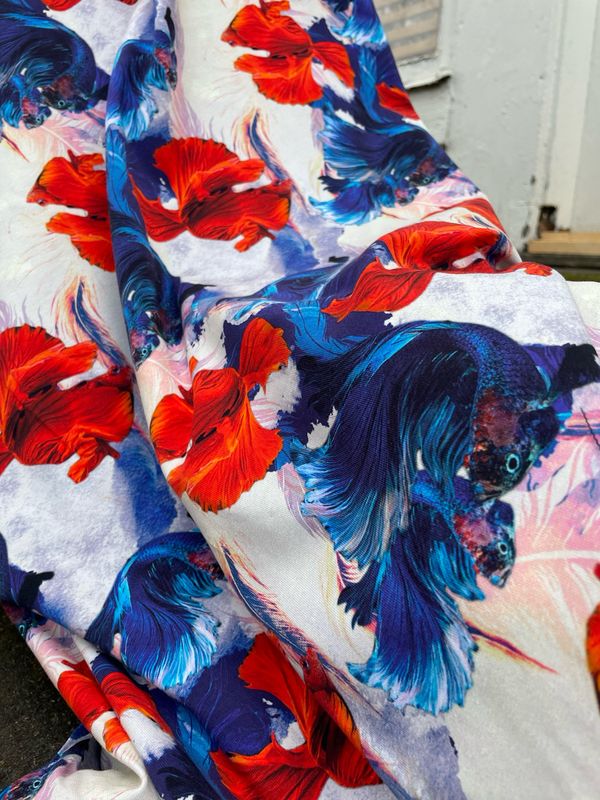 Koi Fisk