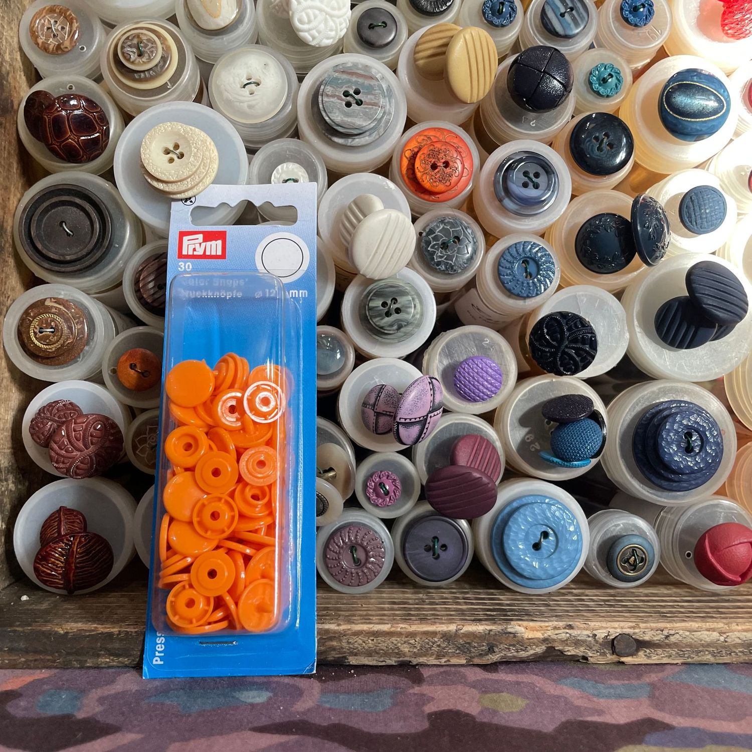 Colorsnaps Orange