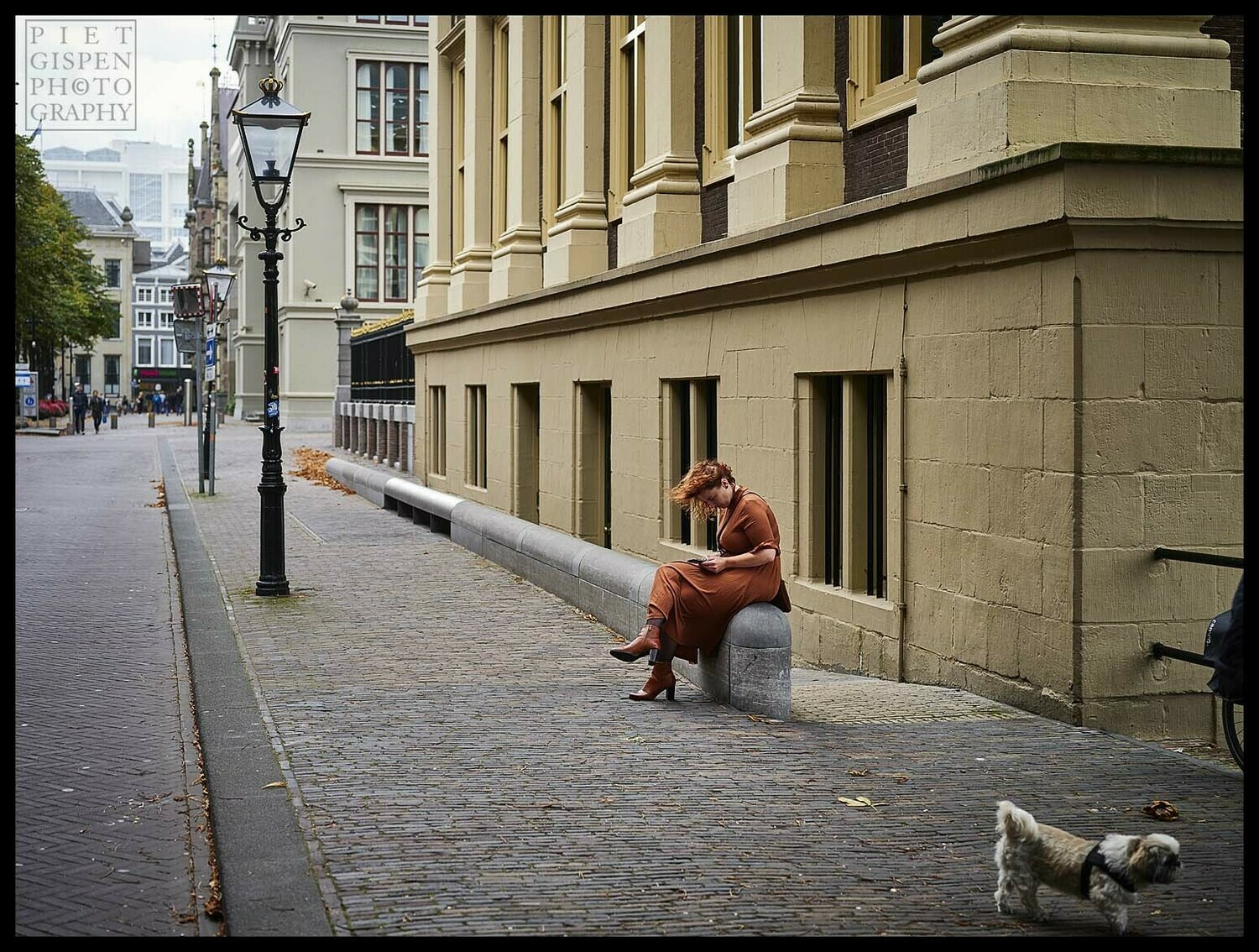 Woman Reading next to the Mauritshuis