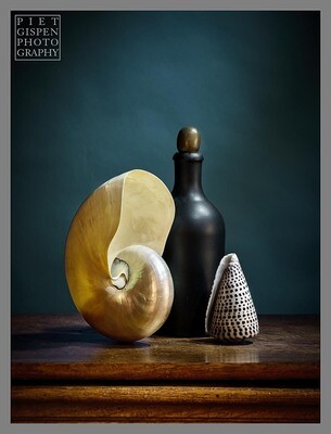 Stillevens / Still Lives