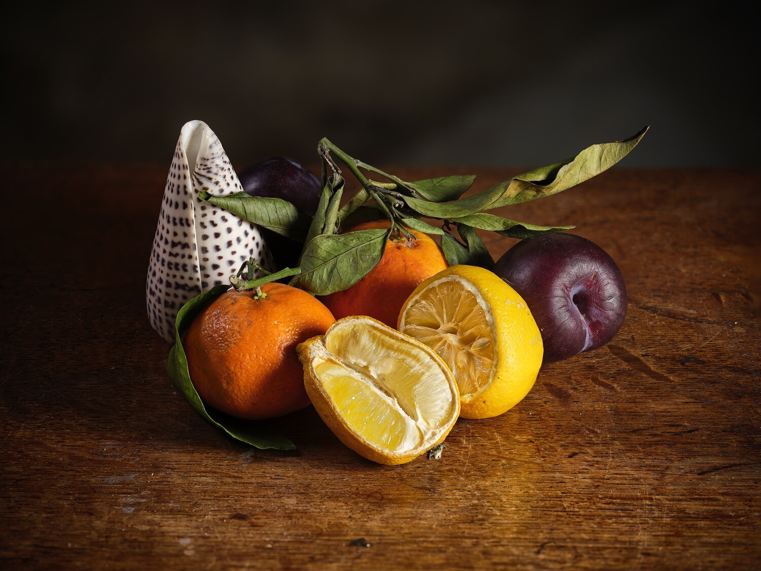 Stilleven met schelp en fruit / Still Life with shell and fruit