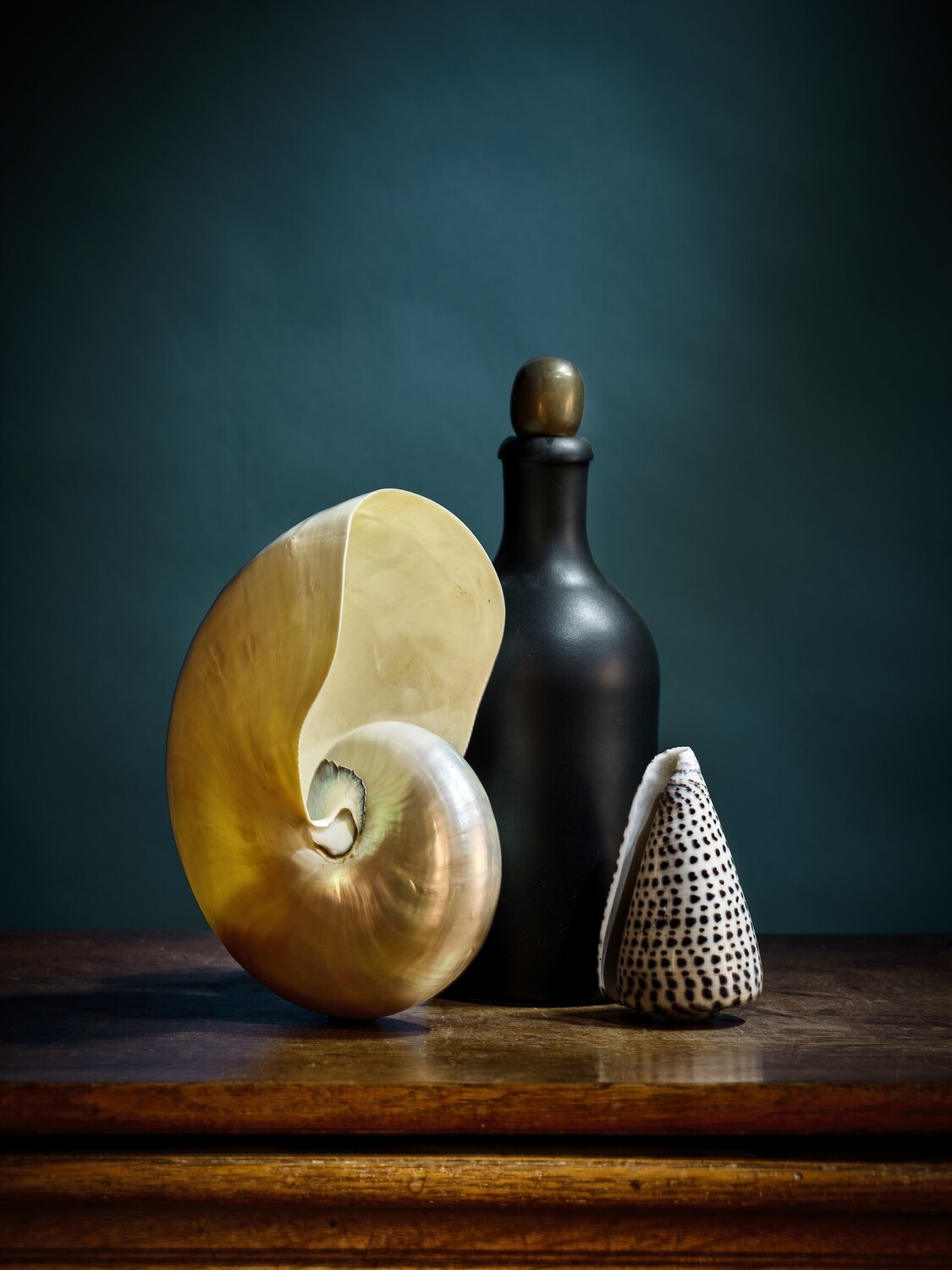 Schelpen en kruik / Shell and Bottle