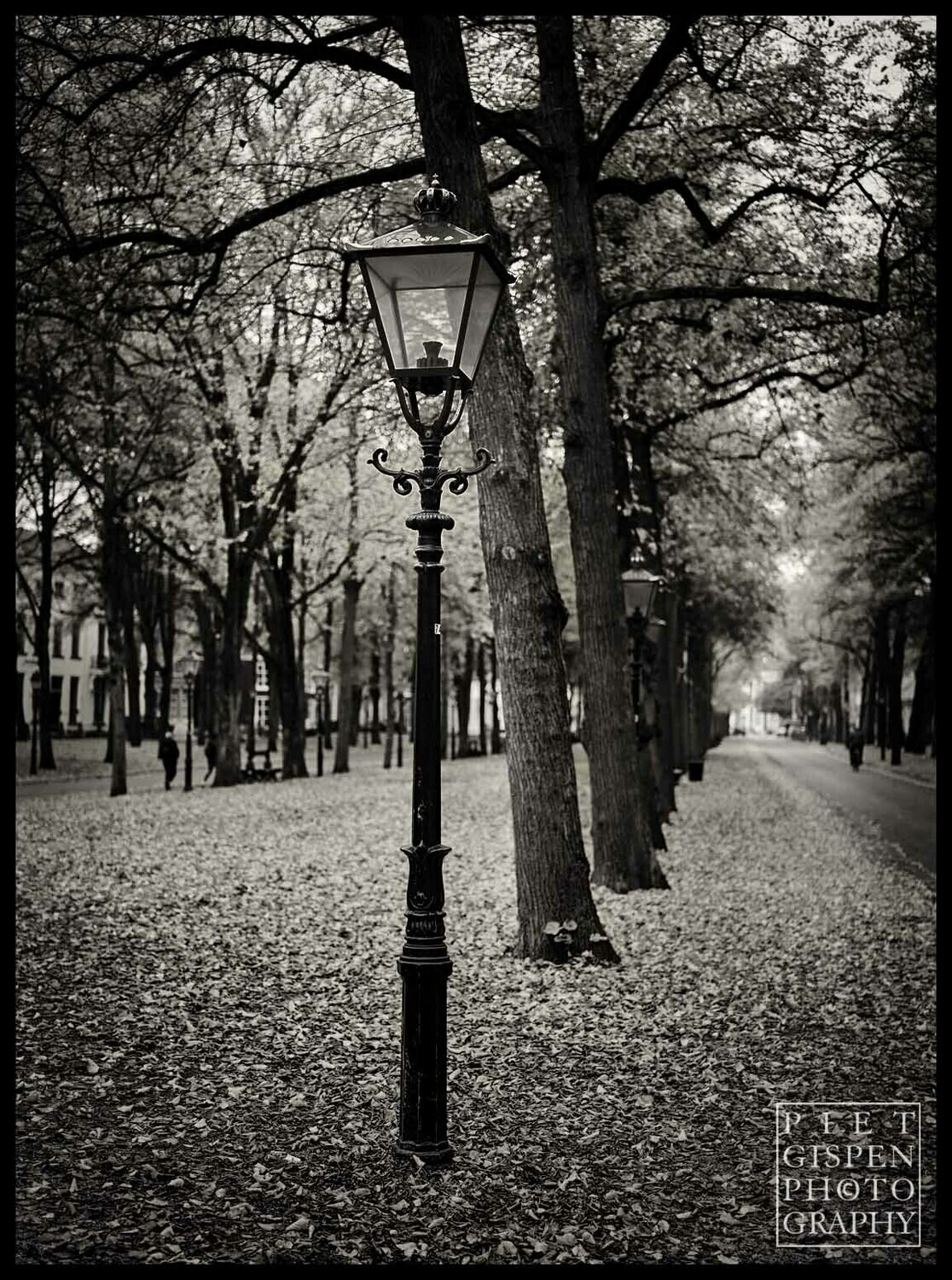Lange Voorhout in de herfst / Lange Voorhout in Autumn