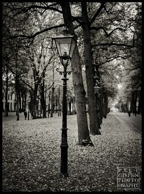 Lange Voorhout in de herfst / Lange Voorhout in Autumn