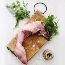 Lapin