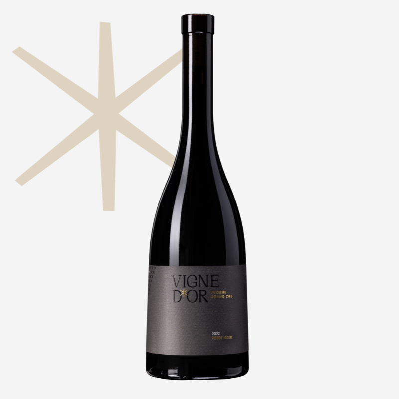 Yvorne Label Vigne d&#39;Or &quot;PINOT NOIR&quot; im Eichenfass ausgebaut Chablais AOC
